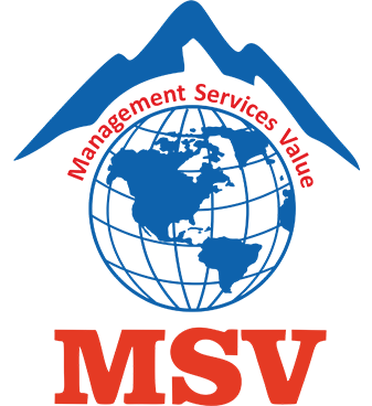 MSV International Inc.