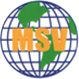 MSV International Inc.